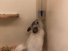 -龙猫仔乐园(惠福东路店)