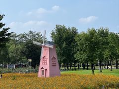 -顺峰山公园