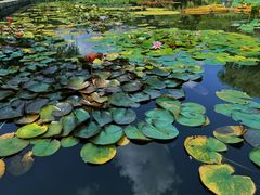 -国家植物园南园