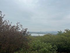 -香雪海
