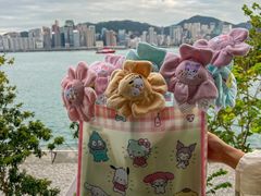 -玩具反斗城(海港城店)