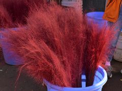 -三圣花乡旅游区