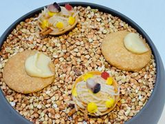 -Sketch(The Lecture Room & Library)