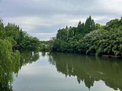 -东平国家森林公园