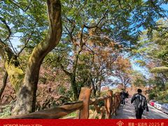 -广州市石门国家森林公园