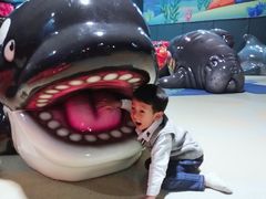 -青岛嘉年华主题乐园