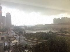 -金苑海鲜酒家(来魅力店)