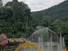 -西双版纳原始森林公园