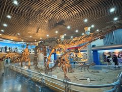 -国家自然博物馆