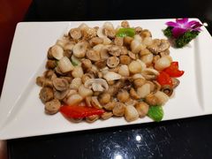 -梁溪河畔·吉府花园(南长街南下塘店)