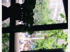 -老盛兴汤包馆(江宁一店)