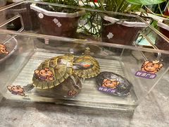 -万里闯关东铁锅炖菜馆(高新旗舰店)