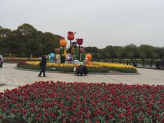 -上海鲜花港