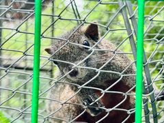 -合肥滨湖国家森林公园