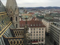 -斯蒂芬主教座堂(Stephansdom)