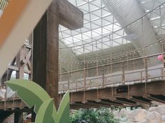 -杭州开元森泊度假乐园