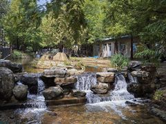 -白水寺森林公园
