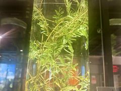 -广东中医药博物馆