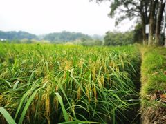 -韶山毛泽东同志故居