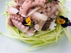 浇汁脆巴蛸-南山酒肆(南山董事绘店)