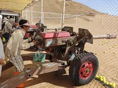 -银肯塔拉沙漠生态旅游景区