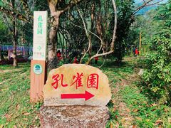 -莫里热带雨林景区