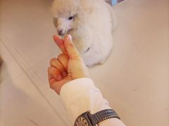 -Blue Concept Cafe&Farm·關於藍