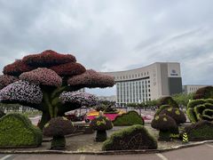 -国家动漫园