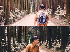 -武陵山森林公园