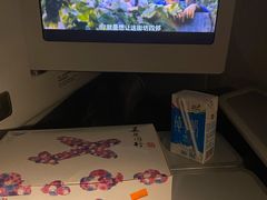 -金鹏航空有限责任公司(祝潘公路店)