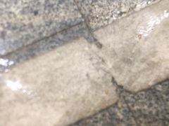 -老蒲鲜·地标·非遗美食(涵江店)