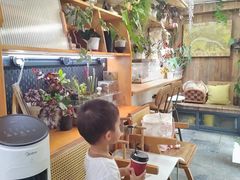 -吉丁鸟咖·异宠·寄养