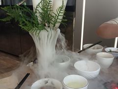 -探窝·竹笙椰子鸡(杨箕店)