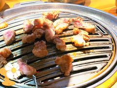 -金顺韩式烤肉·网红烤肉店(广利路店)