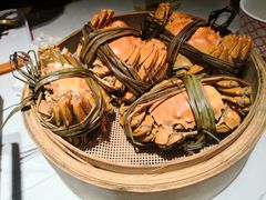 -杨氏青龙虾·羊蝎子(金盛路总店)