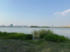 -长广溪湿地公园