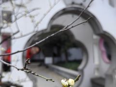 -无锡梅园公园