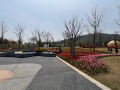 -苏州上方山国家森林公园