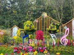 -上海共青森林公园