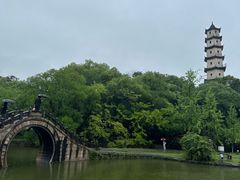 -江心屿景区