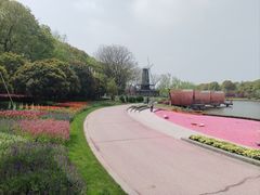 -上海鲜花港