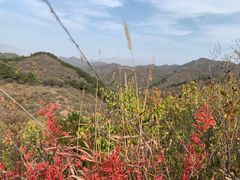 -蟠龙山长城景区