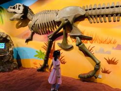 -北京科学中心儿童乐园