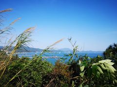 -玫瑰海岸文化旅游度假区