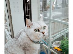 -小时光咖啡馆(北锣鼓巷店)