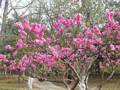 -海棠花溪(元大都城垣遗址公园)