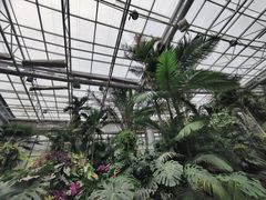 -郑州植物园