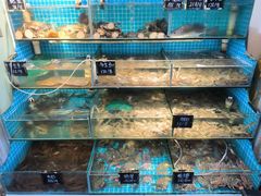 -北戴河庆山饭店·海鲜砂锅粥(北戴河黑石路店)