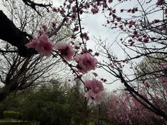 -洨河生态公园