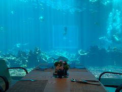 -海棠湾洲际-涛·海底餐厅·美人鱼·自助餐·海底隧道